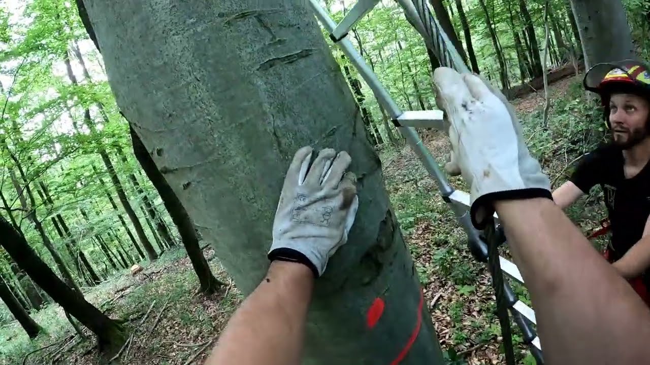 Český TraktorVlog #2-25 
