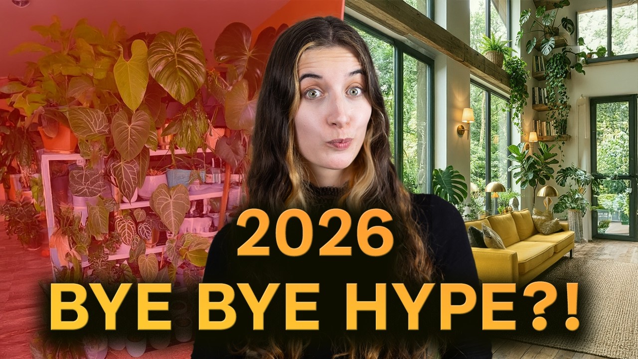 Pflanzentrends 2026 🌿 Diese Zimmerpflanzen wollen ALLE