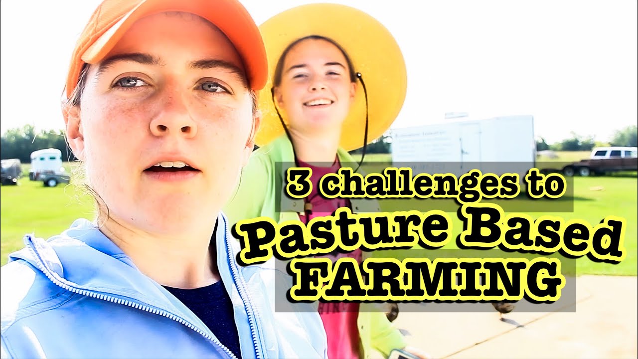 3 CHALLENGES to PASTURE BASED FARMING | Raising Sheep, Cows, & Chickens