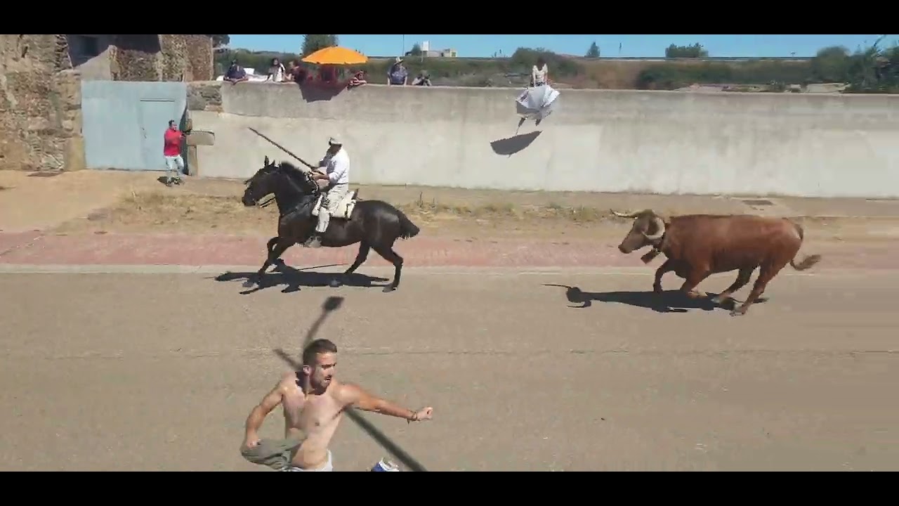 Encierro mixto #Fuenteguinaldo 20/08/2023. video 1/4