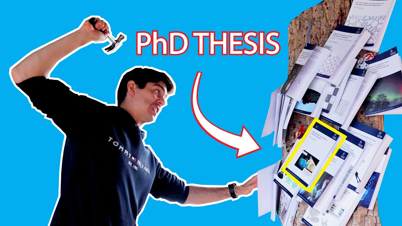 I Nailed My PhD Thesis!