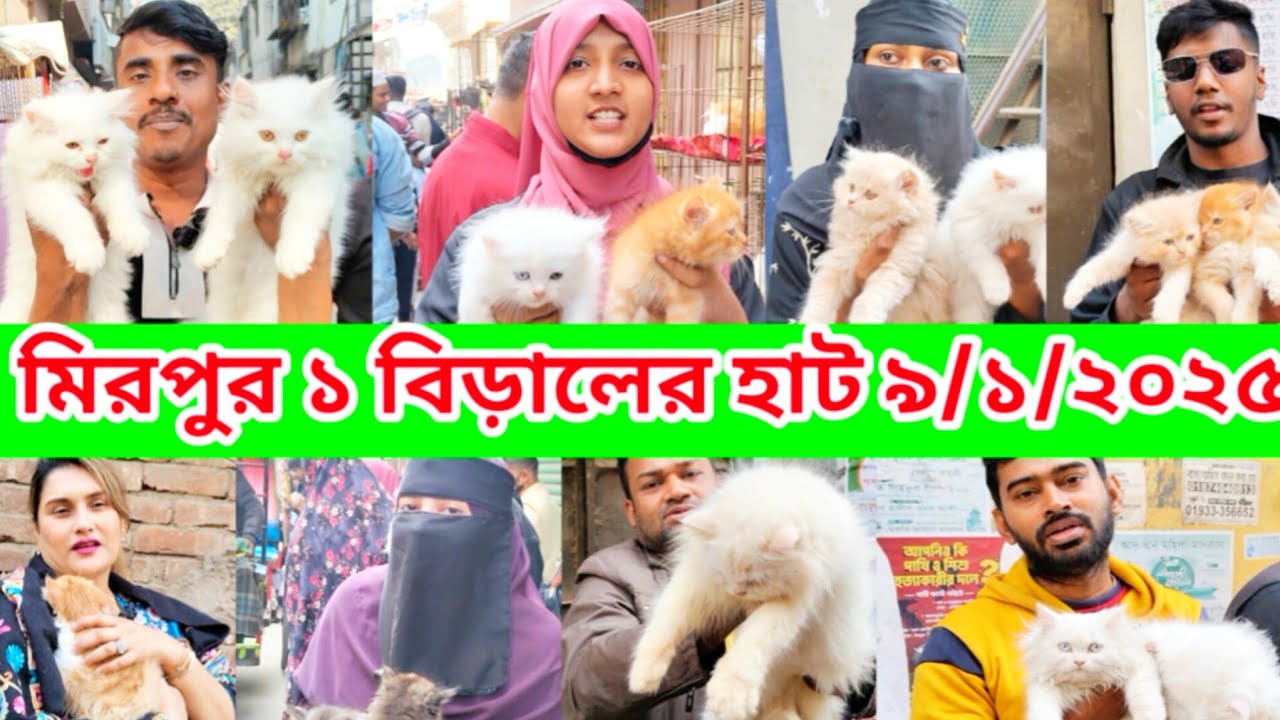 মিরপুর ১ বিড়ালের হাট | Mirpur 1 Biraler hat | Cat Price in Bangladesh | Mirpur 1 Pet Market #cat 