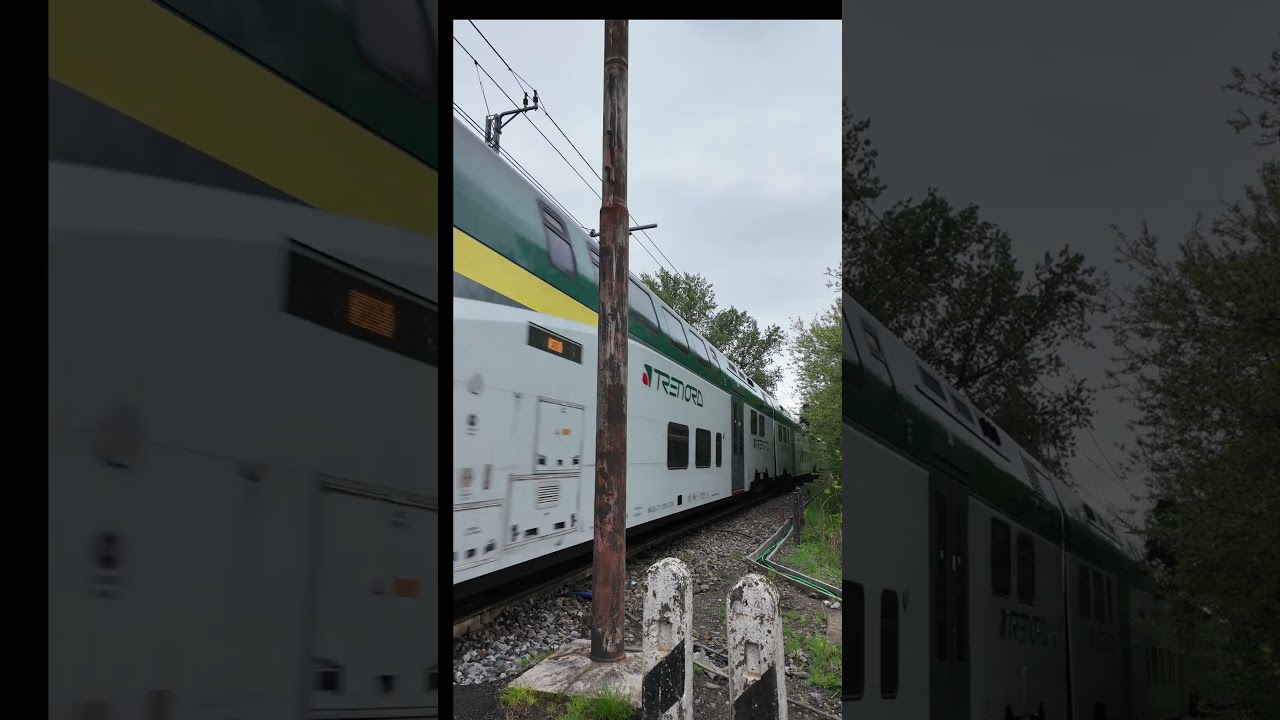 #treno #treni #train #tren #ferrovia #trenord