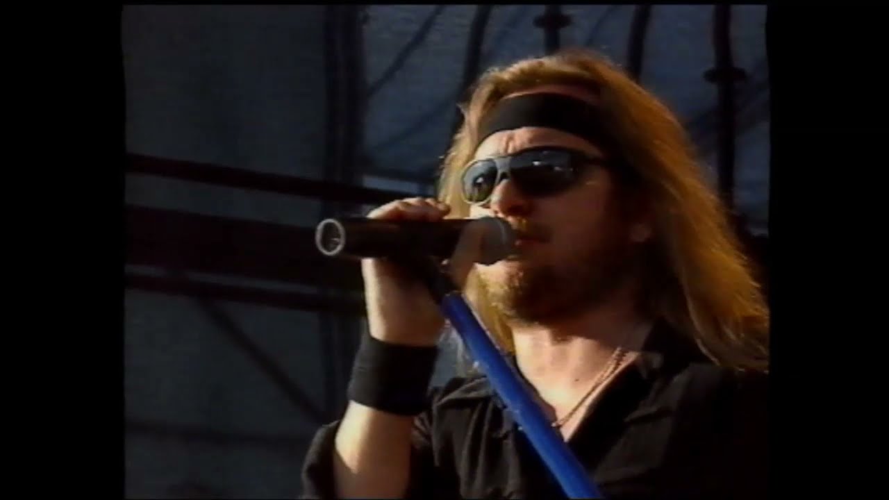 Lynyrd Skynyrd; Down South Jukin`