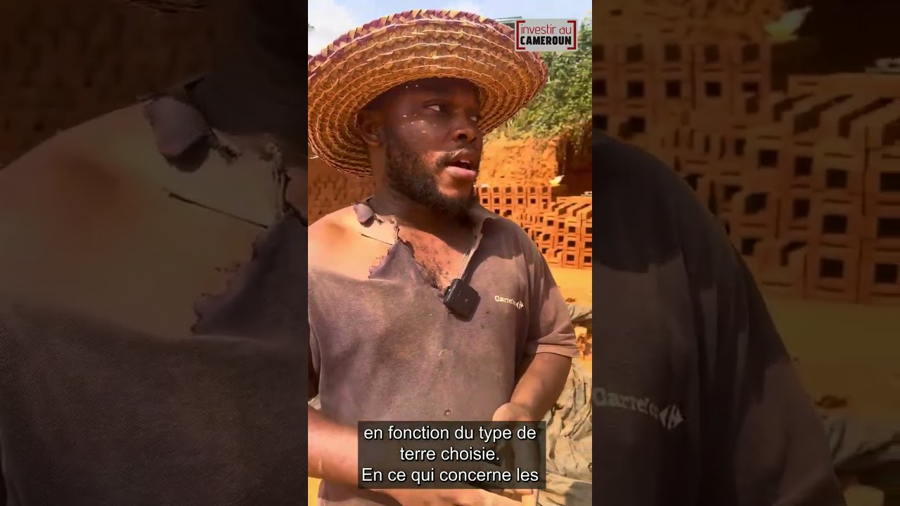 De quoi sont faites les briques en terre ?