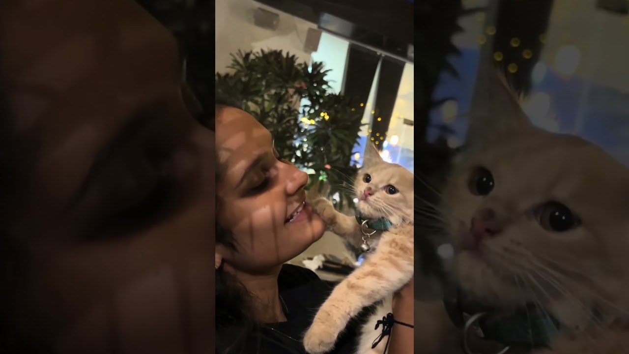 Purrfect vibes! 🤌💌 