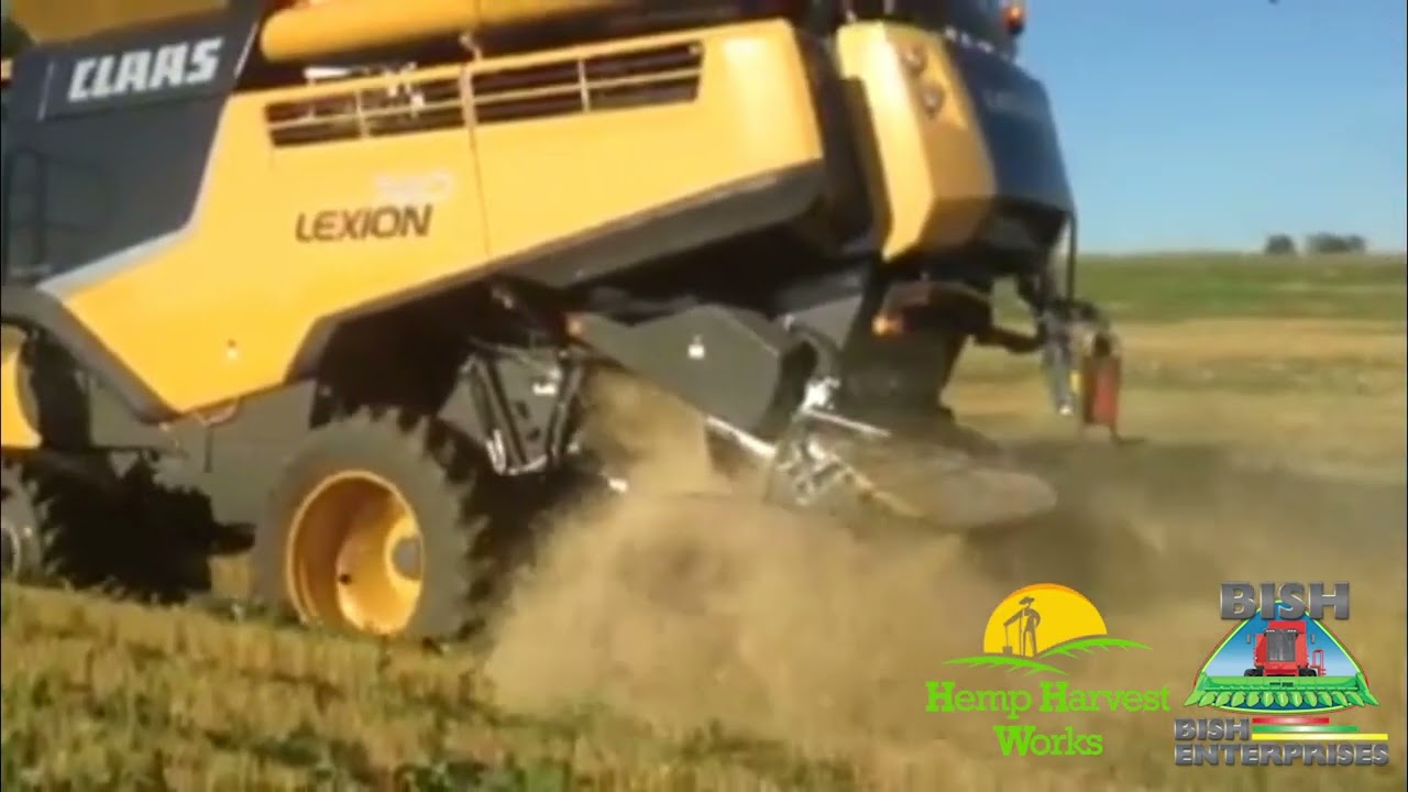 SuperCrop&reg; Header - Twin Row Wheat Harvest