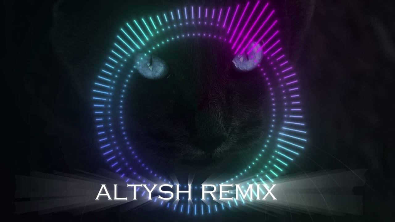 Low & Freeman Flo Rida Мияги [ ALTYSH remix ]