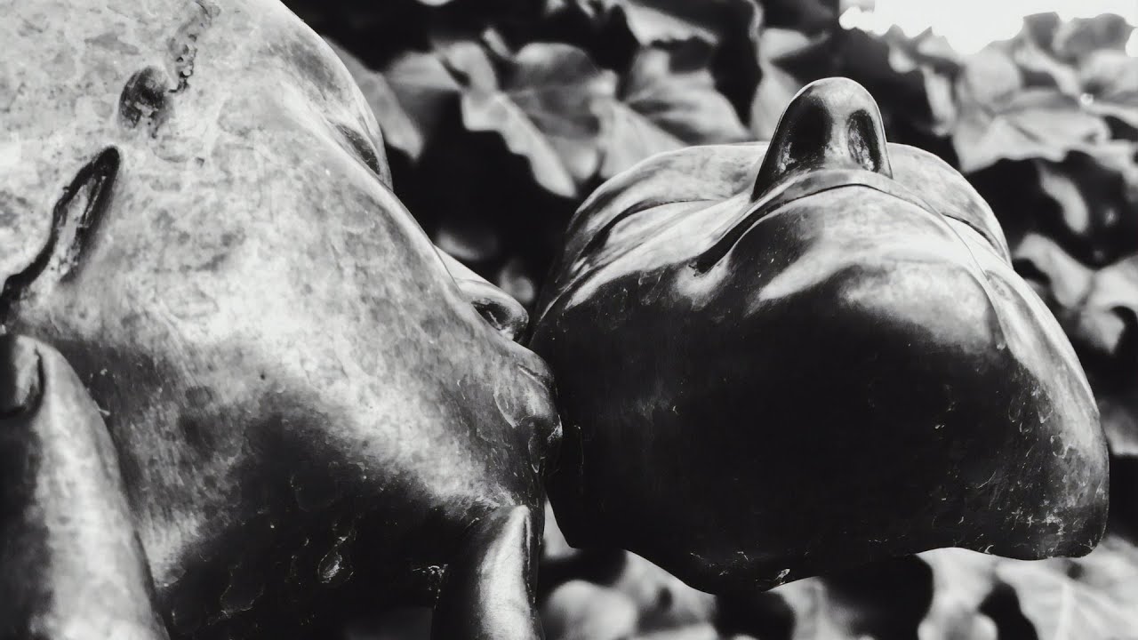 anatu - giving up