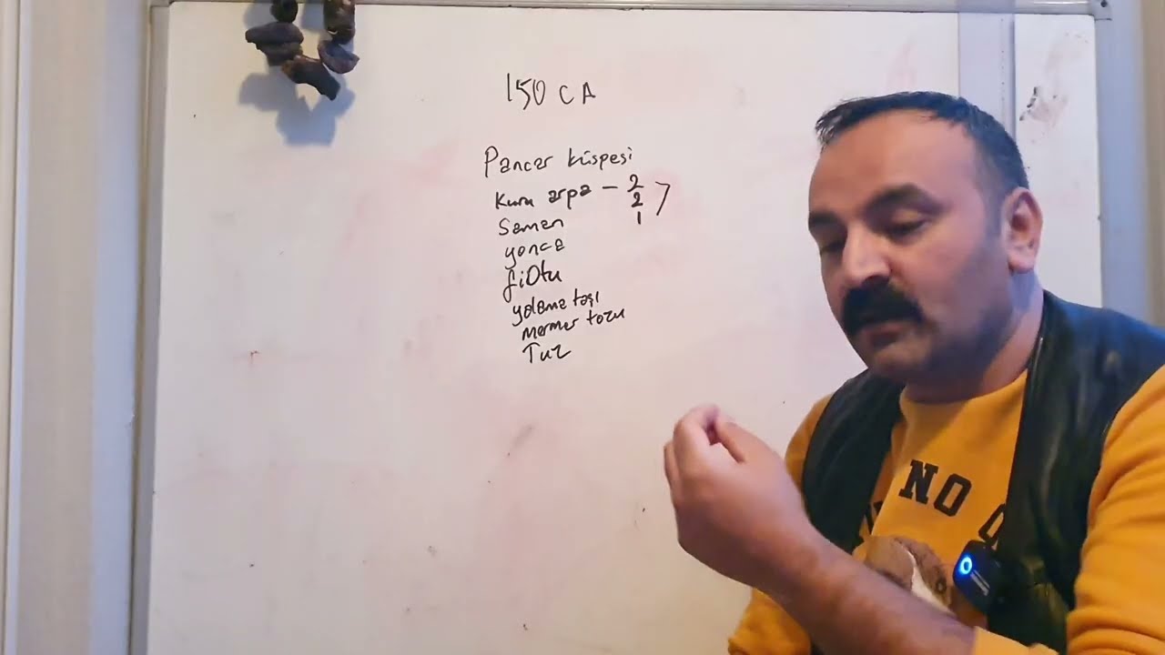 besi hayvanında mevcut rasyona arpa hasılı etkisi
