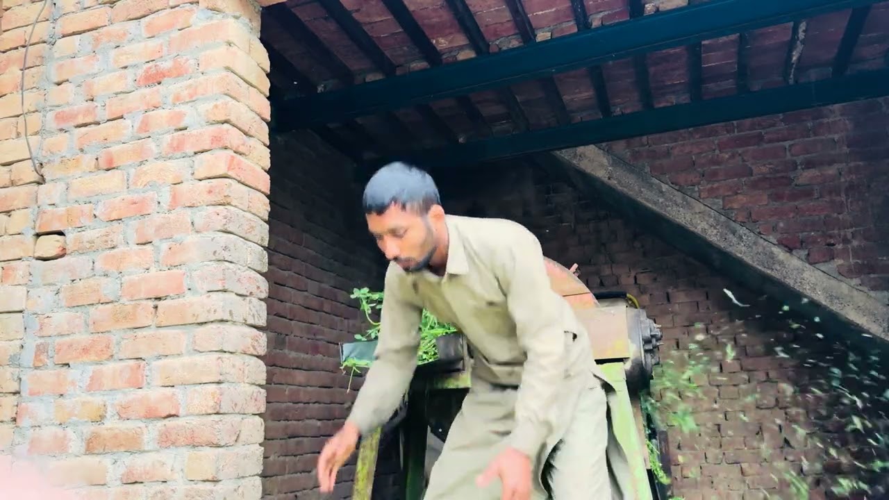 Ghar par kiye sare kaaam