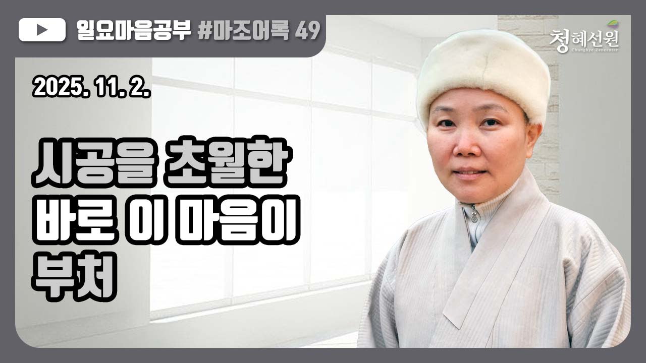 2025.11.02. [청혜선원] 일요공부ㅣ마조어록  제49회  제3부 11. 이 마음이 부처다   