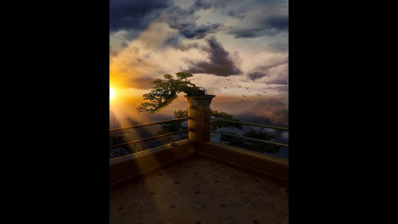 Bonsai In A Balcony  l  Photo Manipulation (7)