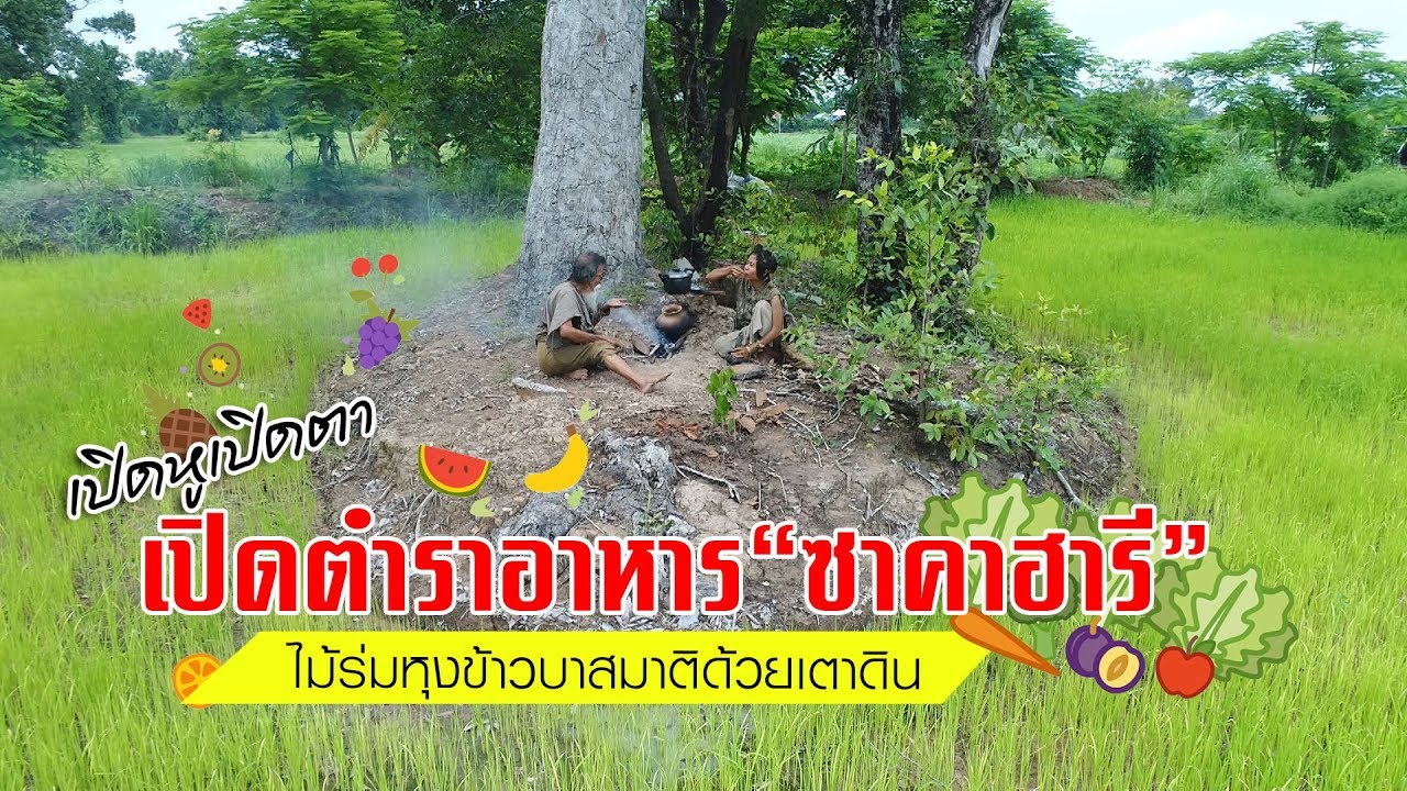 เปิดหูเปิดตา เปิดตำราอาหาร “ซาคาฮารี” บทที่2 ไม้ร่มหุงข้าวบาสมาติด้วยเตาดิน | Sakahari  Bhojan