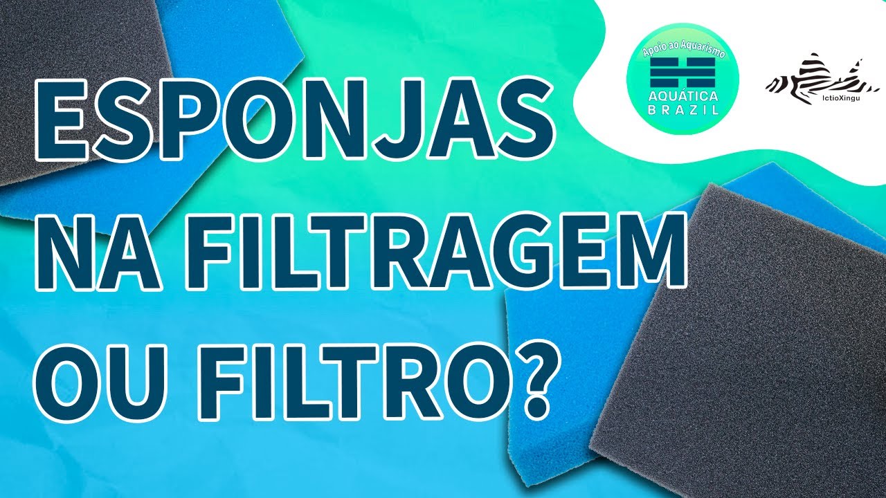 COMO TER UM FILTRO USANDO APENAS ESPONJAS?