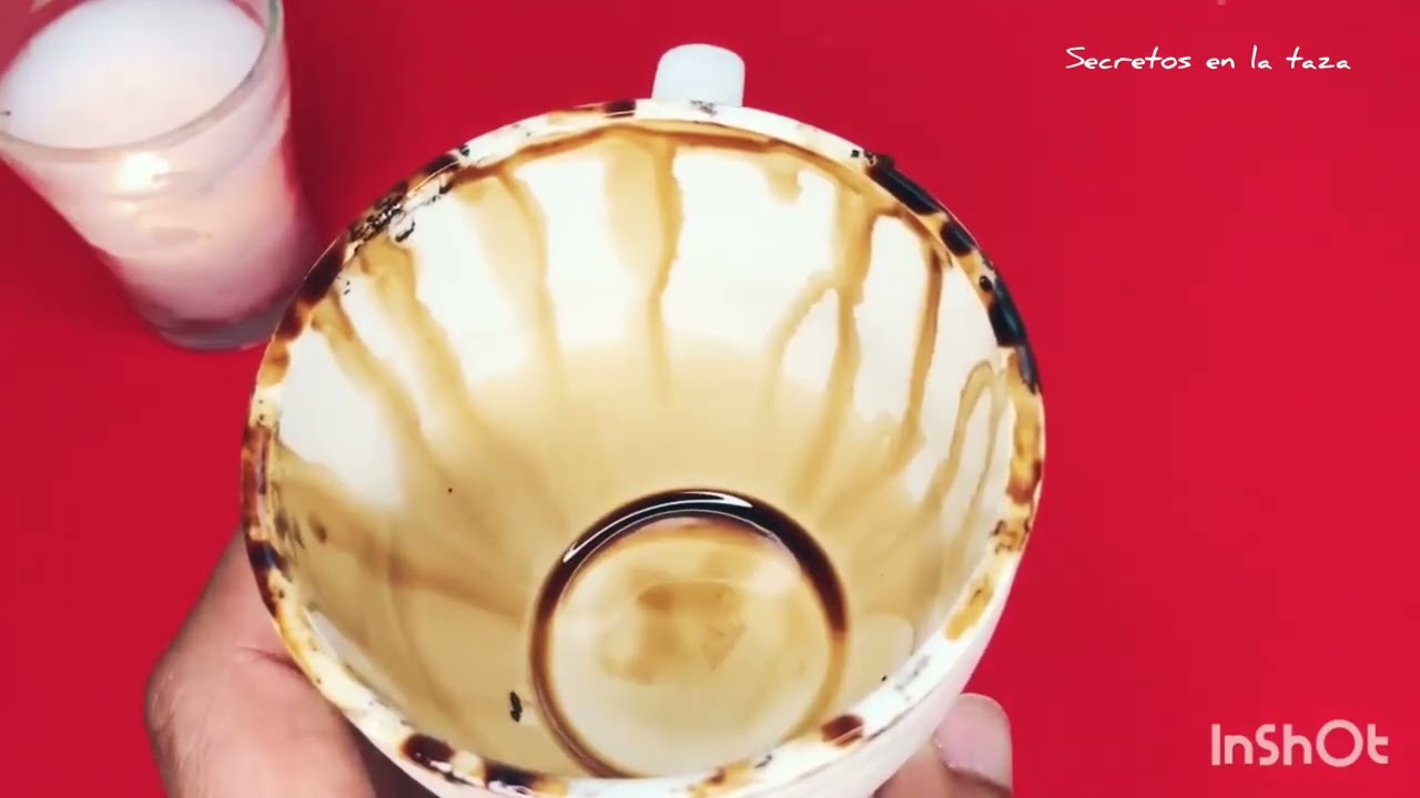 ☀️Aries ERES UN SER DE LUZ lectura del cafe - Aries lectura de la taza
