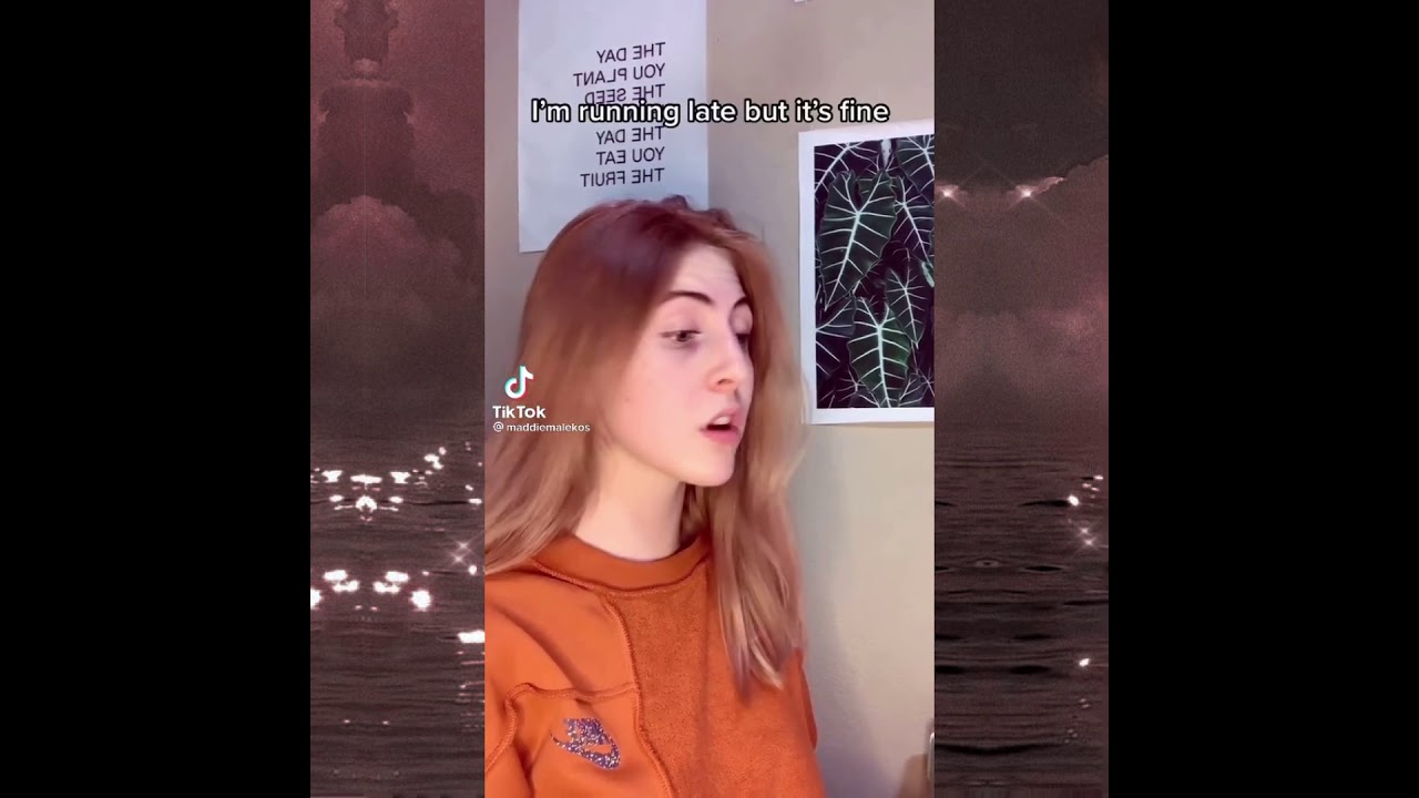 Don&rsquo;t Cry By:Maddie Malekos (@maddiemalekos TikTok)