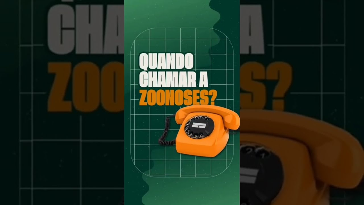 Quando chamar a Zoonoses? #shorts