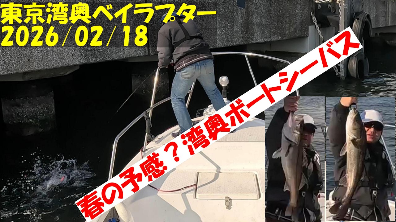 【東京湾ボートシーバス釣行記】令和８年２月１８日　今日は、天気も良く春を感じさせる釣行でした。シーズンインまで、もう少しの我慢かな？ #ボートシーバス #フリップキャスト