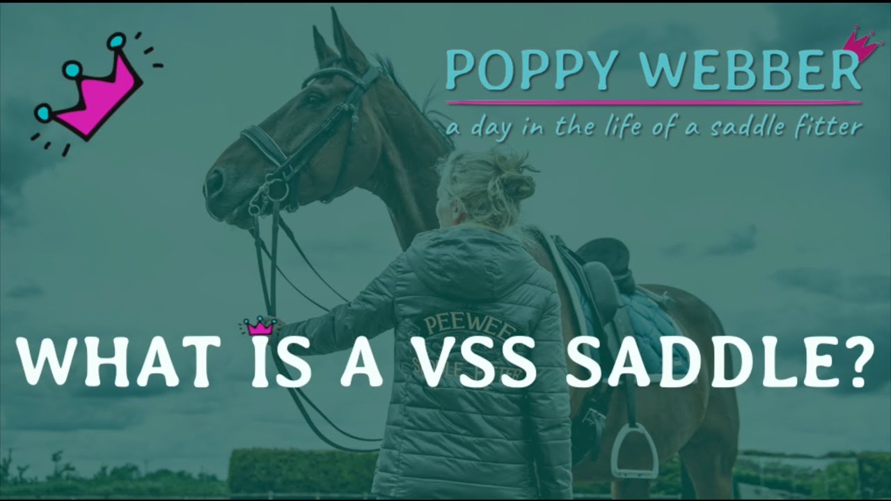 WHAT IS A VSS SADDLE? Perfect for hackers, jumpers, hunters and nervous riders!