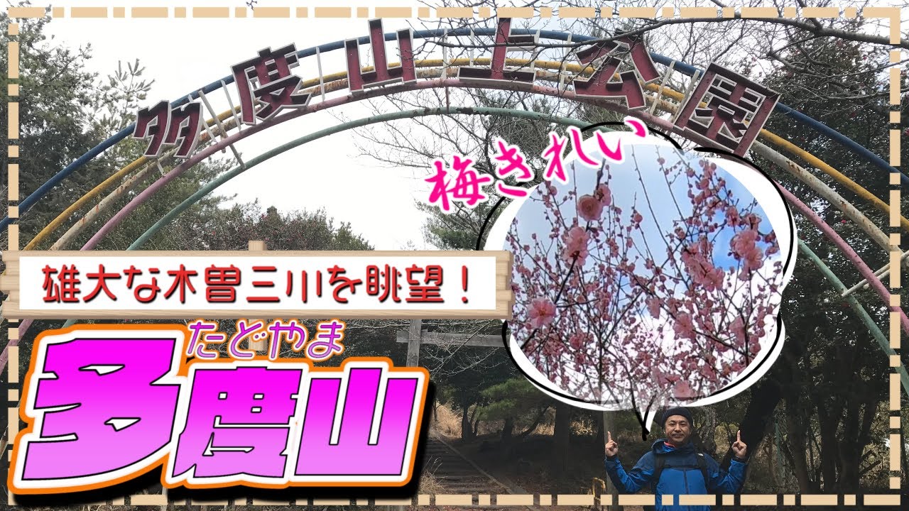 【多度山 登山】梅に癒されほのぼの登山！豊富なコースで初心者から健脚まで楽しめるお山！桑名市の多度山