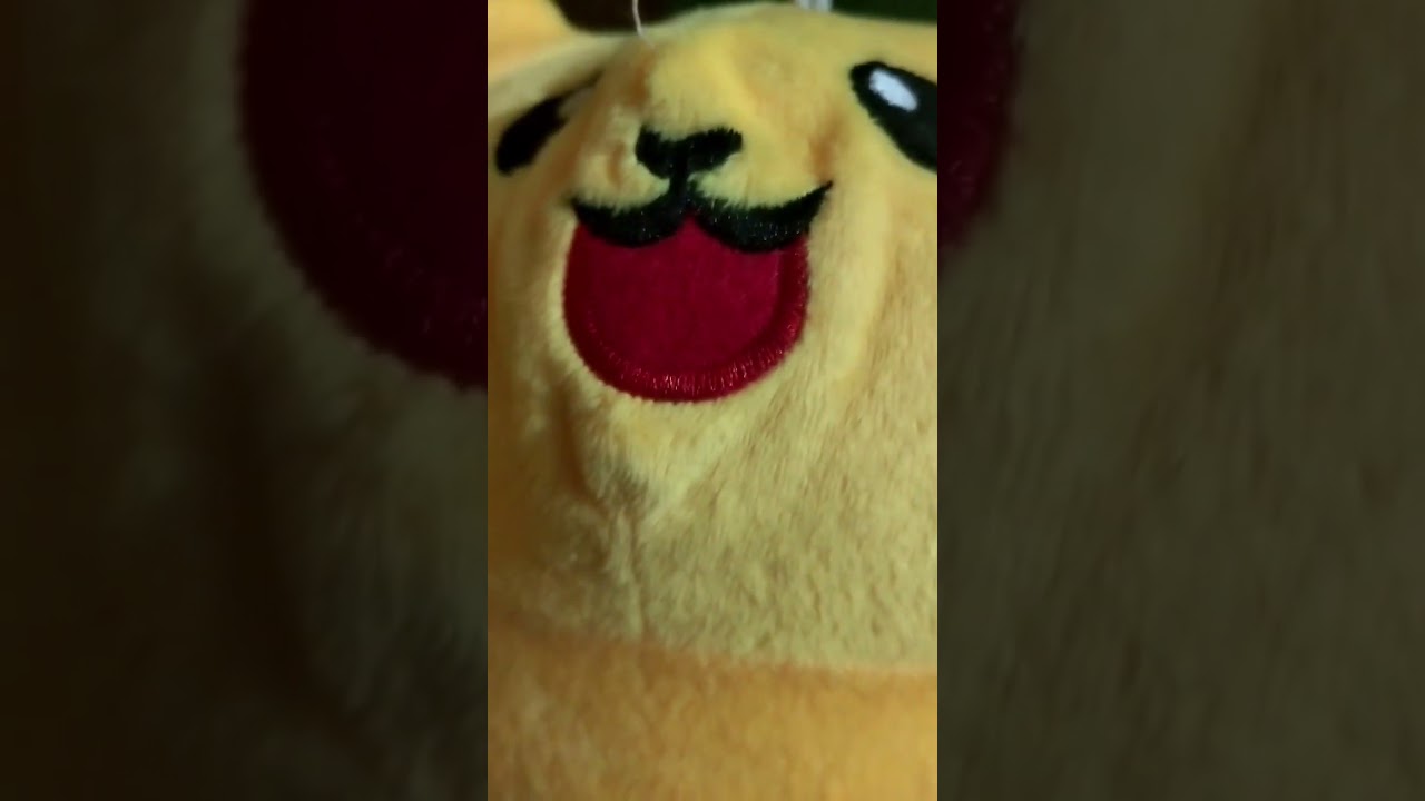 Episode 3 entry of pickachu