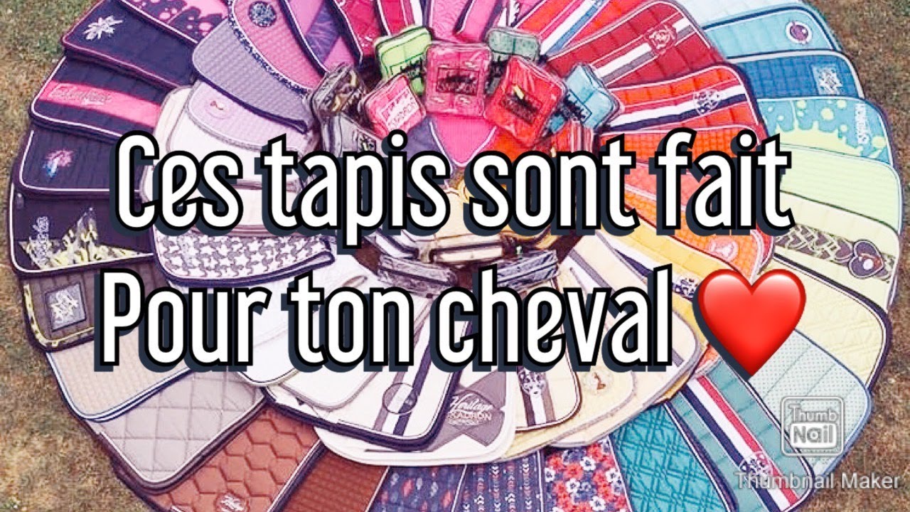 quel couleur de tapis est faite pour ton cheval? #1