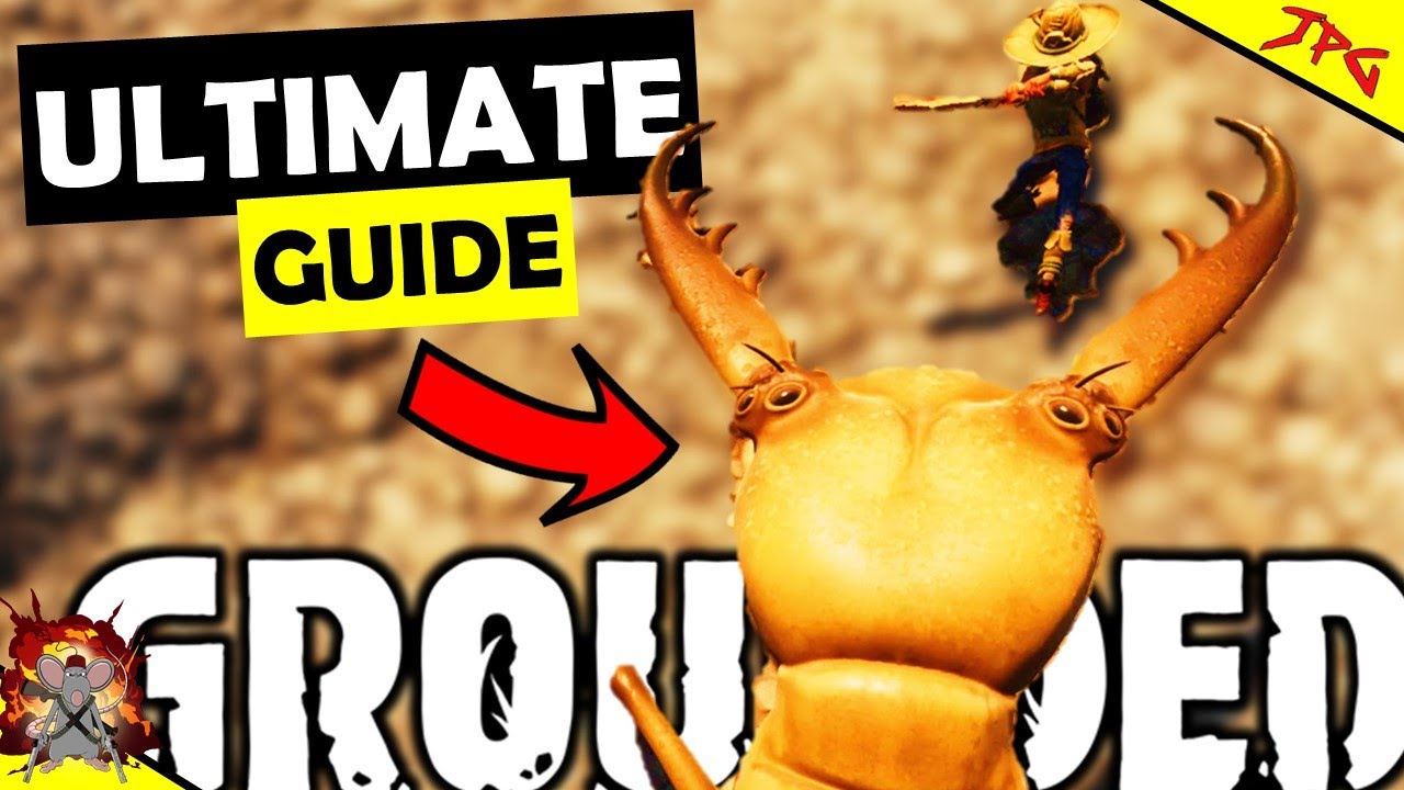 GROUNDED Hot And Hazey - ANTLIONS GUIDE  - Best Way To Beat Them! AntLion Armour/Weapons Tips!