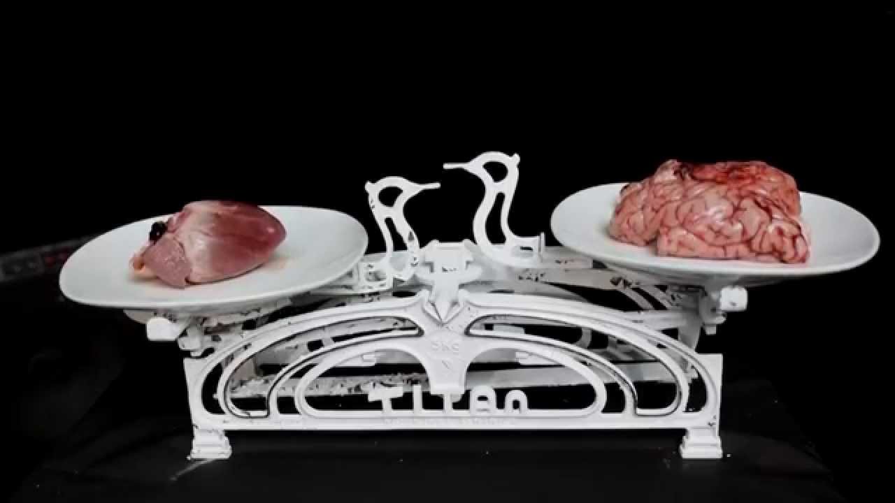 Bolesna &Scaron;tenad - Život je lep