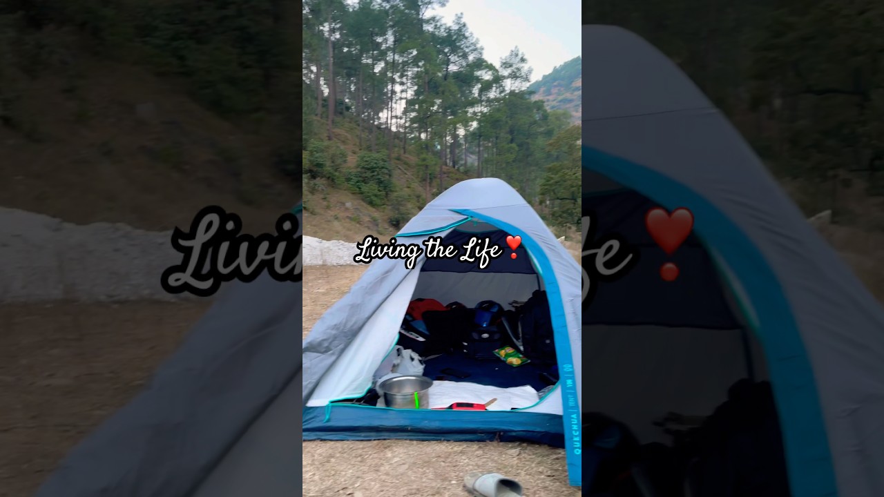 Camping in wild 