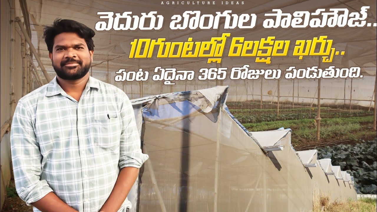 Bamboo Polyhouse Construction & Farming | వెదురు బొంగుల పాలిహౌజ్ నిర్మాణం, సాగు | Shiva Agri Clinic