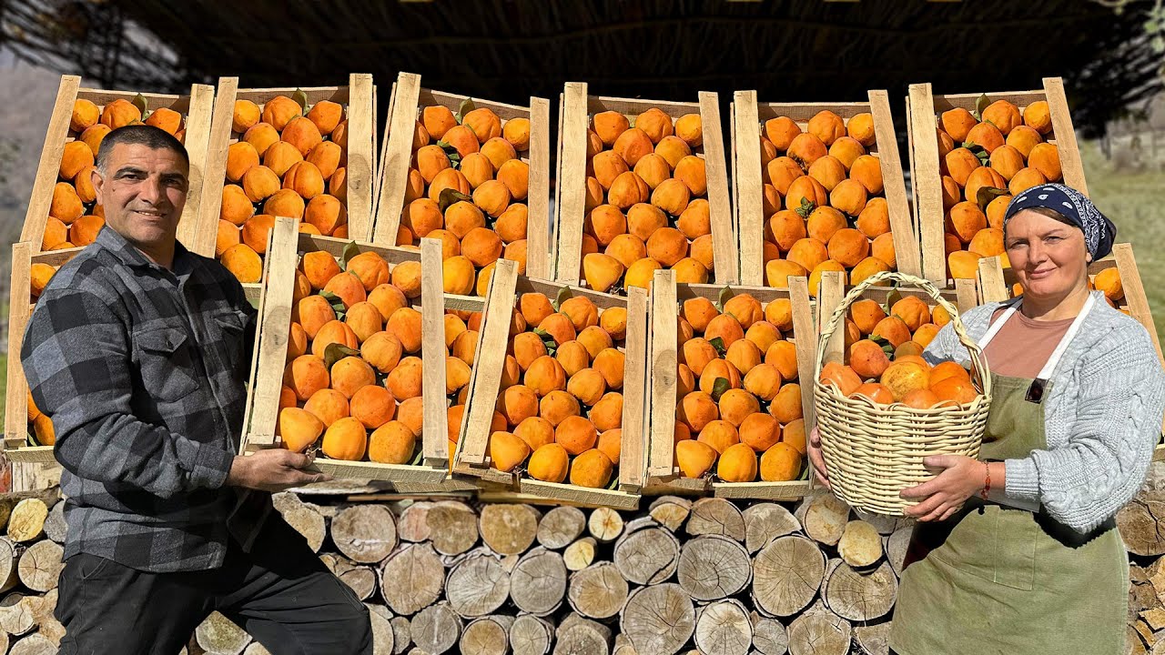 Collecting And Cooking An Incredible Dessert Of Juicy Persimmons In A Mountain Village!