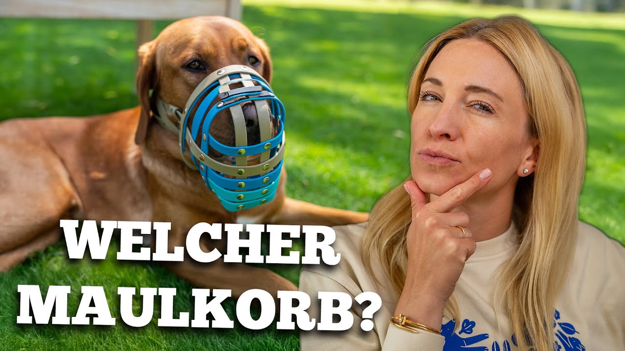 Maulkorb f&uuml;r deinen Hund: So findest du die richtige Gr&ouml;&szlig;e