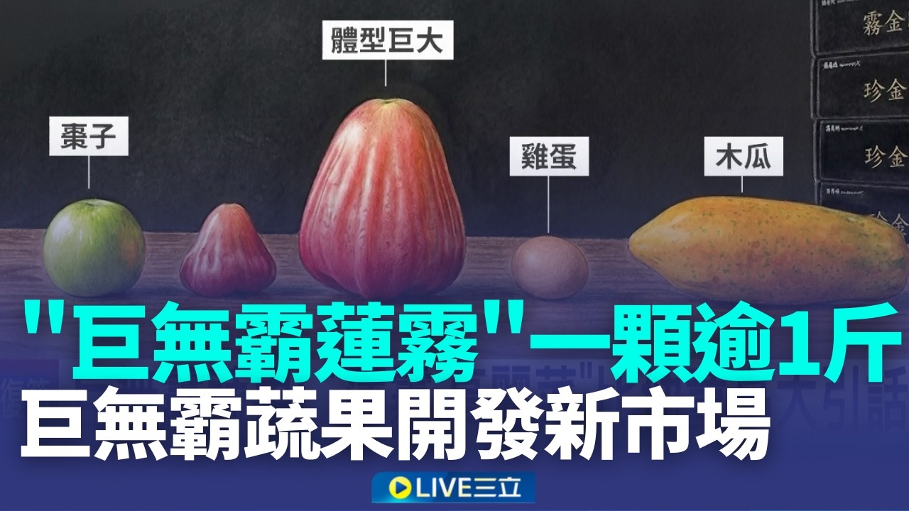 一手難掌握.比童臉還大 