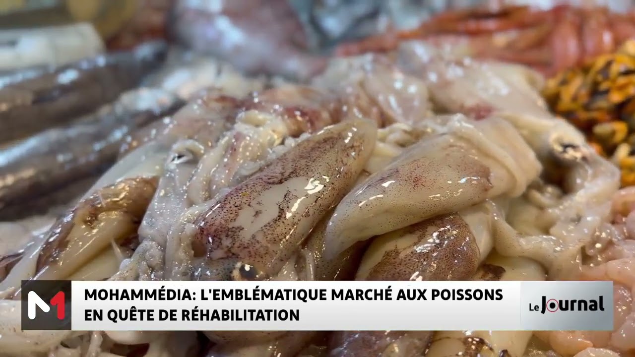 Mohamm&eacute;dia : l&acute;embl&eacute;matique march&eacute; aux poissons en qu&ecirc;te de r&eacute;habilitation