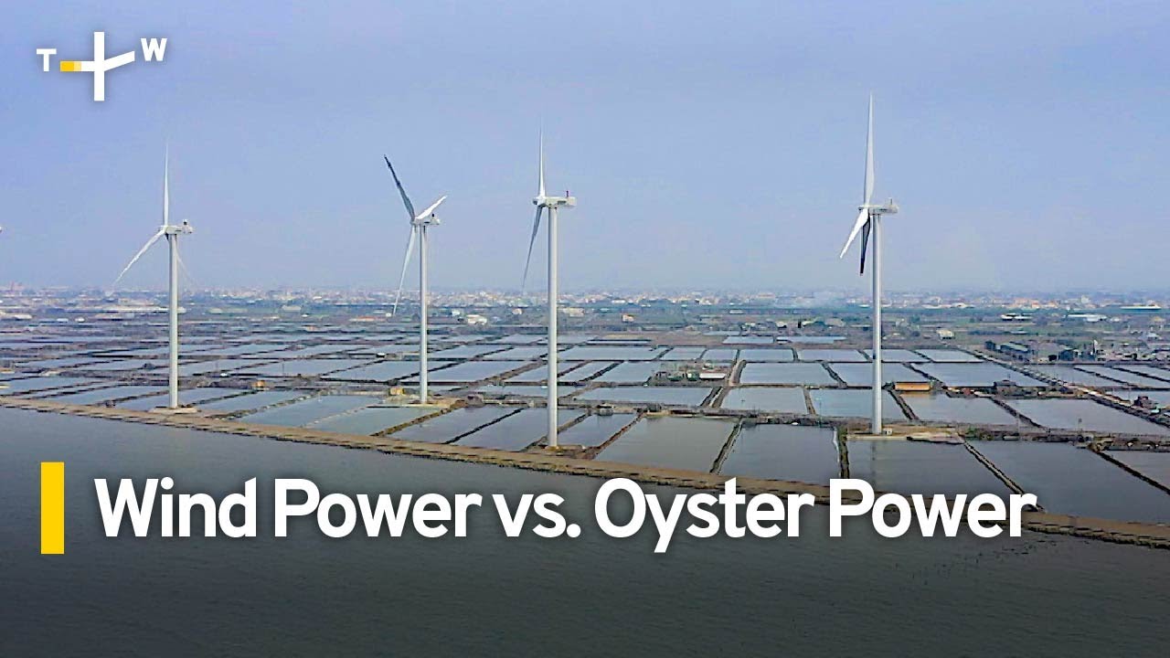 Changhua Residents Fight To Preserve Wetlands From Wind Farms | TaiwanPlus News