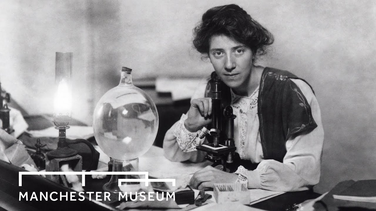 Marie Stopes Plant Fossils | Manchester Museum