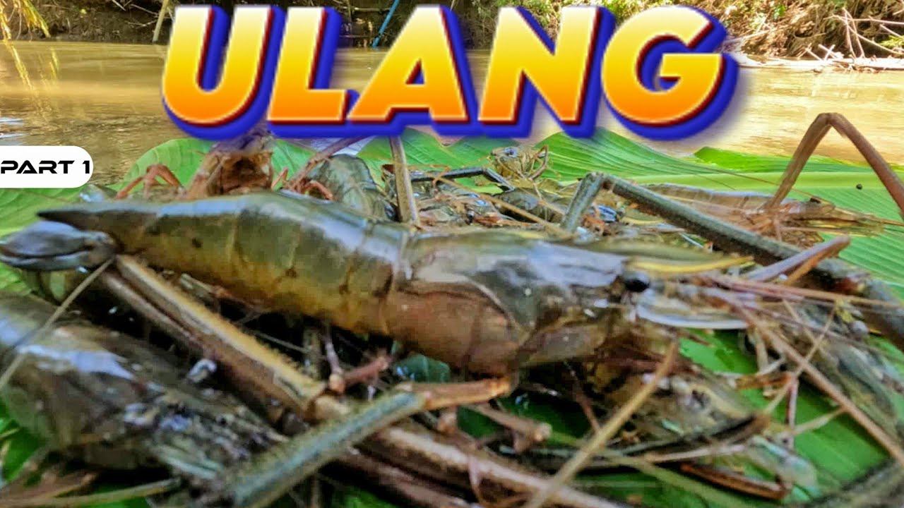 P1 - Jackpot sa Ulang - EP1982