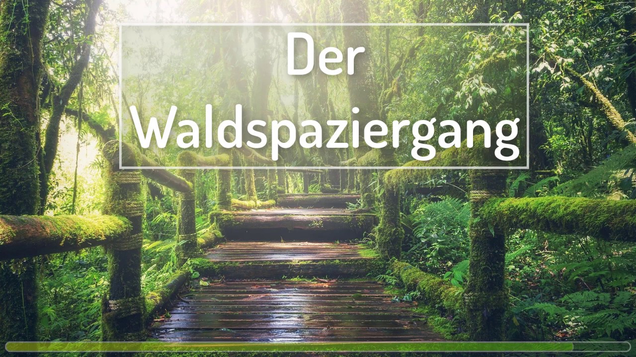 Gef&uuml;hrte Fantasie/-Traumreise Meditation - Spaziergang durch den Wald (Entspannung/Einschlafen)