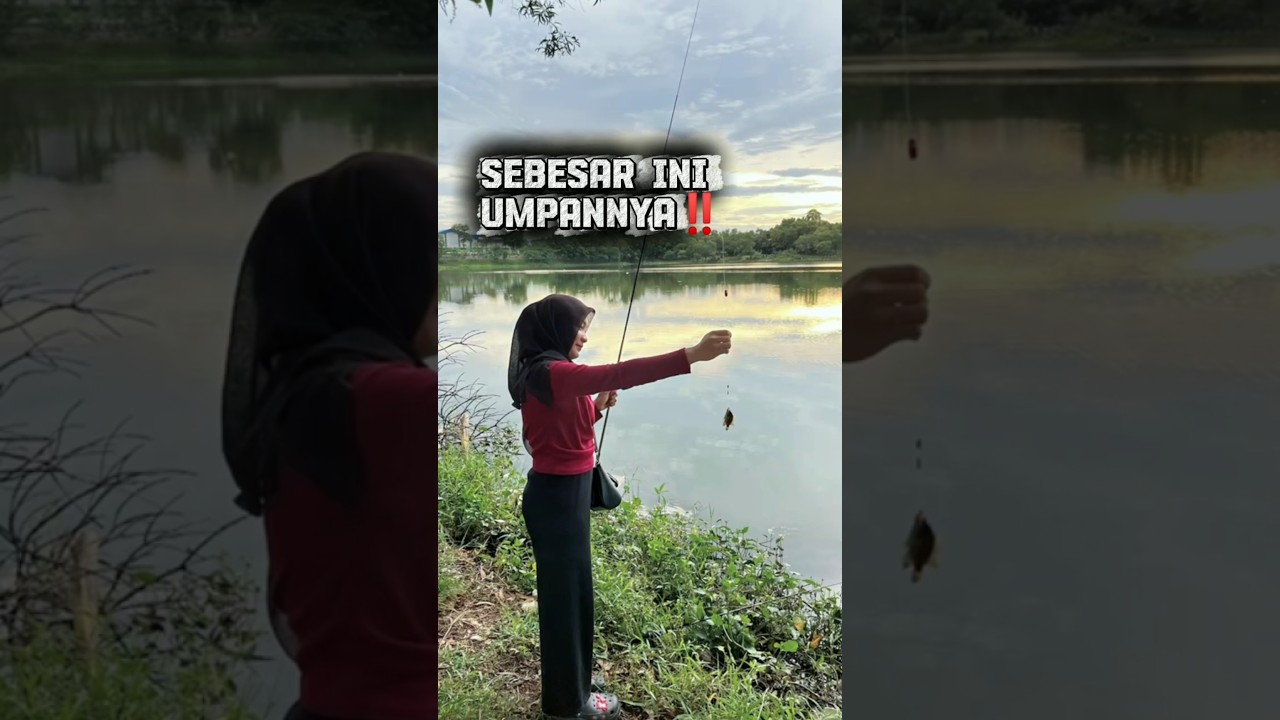 Mancing ikan disungai besar #mancing #fishing