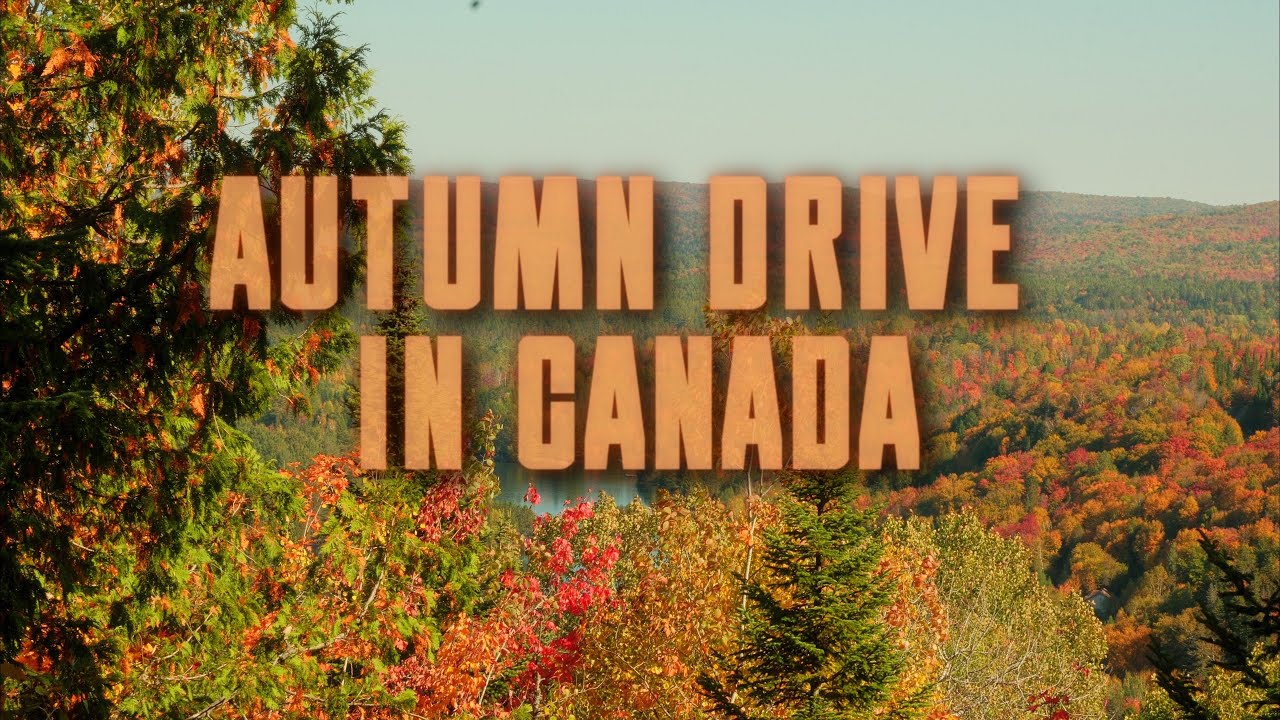 Autumn drive in Canada - جزائري في أمريكا الشمالية  - كندا