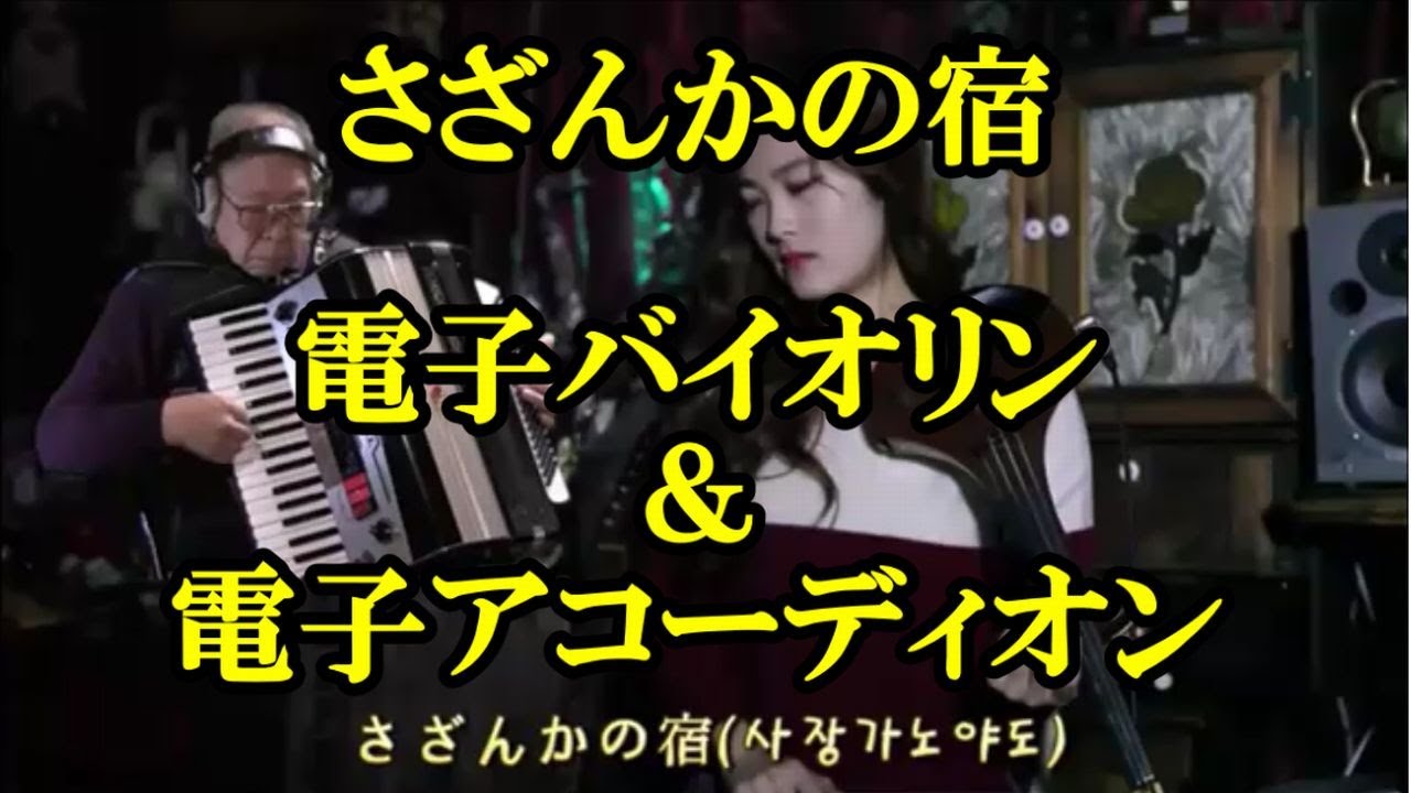 おすすめ【さざんかの宿】　電子バイオリン＆電子アコーディオン　「ジョア・ラム」さんとコラボしてみた