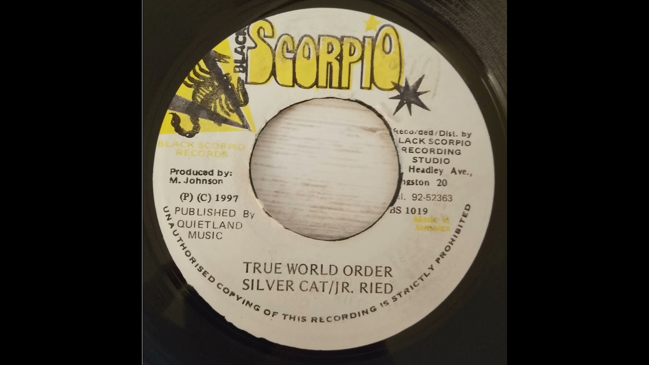 Silver Cat & Jr  Reid  - True World Order
