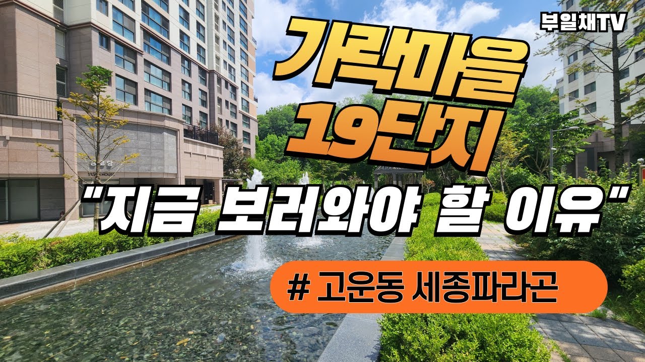 여기 꼭~ 보러 와야하는 이유! #세종파라곤