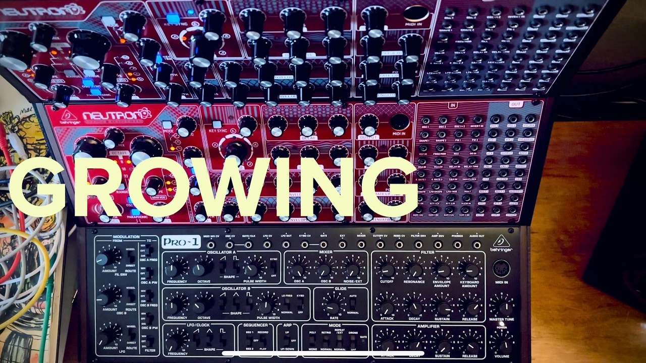 GROWING // performed with Behringer Neutron & Pro-1 (by Luc Goedert)