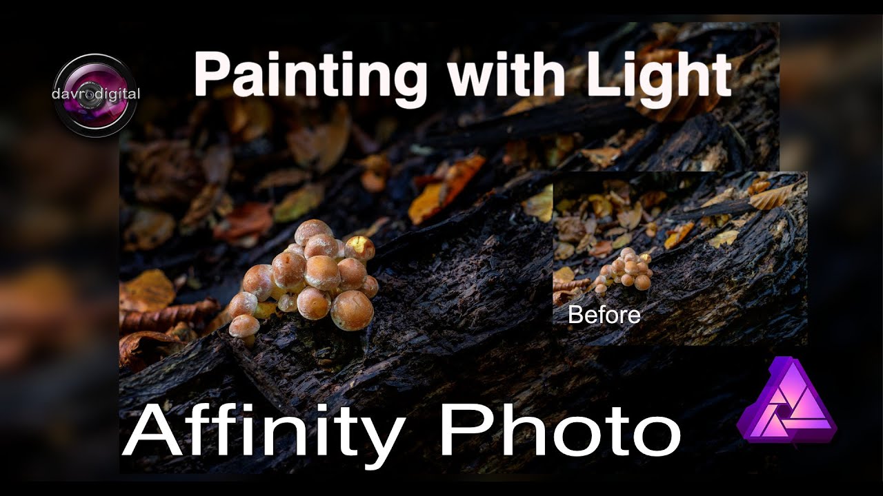 Painting in Lighting and Texture Affinity Photo