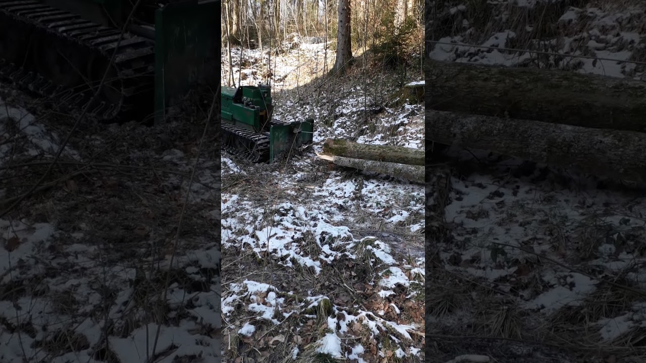 Exploatare forestiera in germania
