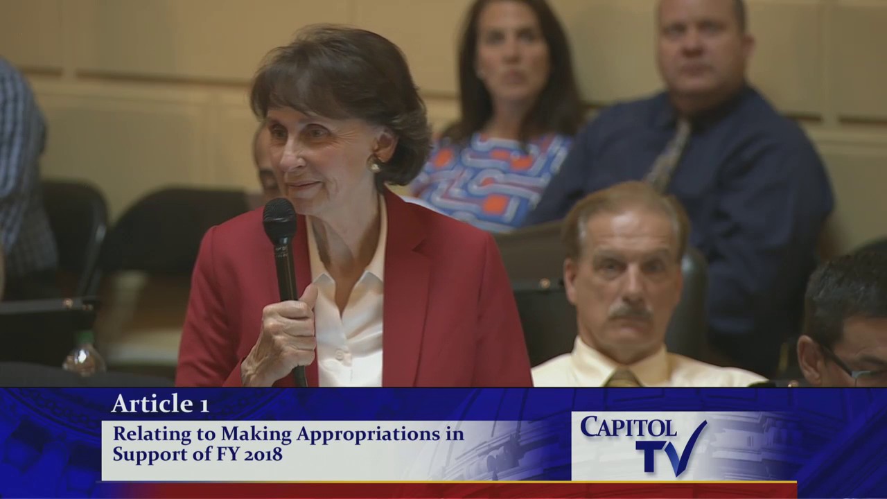 Rep. Patricia Morgan - Using Scoops To Balance The Budget