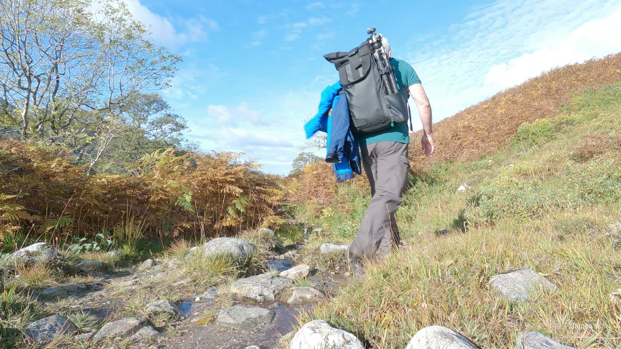 Kinlochewe to Loch Maree walk
