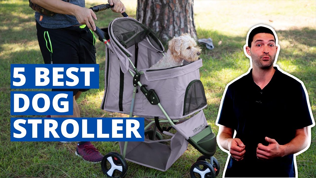 5 Best Dog Stroller | [Buying Guide]